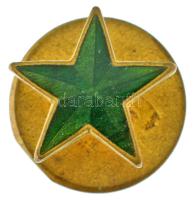 Német Birodalom DN Zöld csillag zománcozott bronz gomblyukjelvény Glaser & Sohn, Dresden gyártói jelzéssel (~15mm) T:AU German Empire ND Green star enamelled bronze buttonhole badge with Glaser & Sohn, Dresden makers mark (~15mm) C:AU