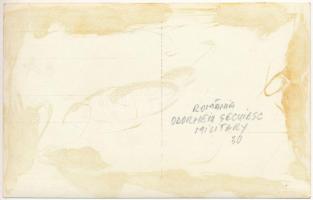 1933 Székelyudvarhely, Odorheiu Secuiesc; román katonák és tisztek csoportképe / Romanian military, ...