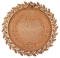 ~1900. "Csillag Kerékpáros Kör Budapesten 1899" kétoldalas, jelzett Ag kerékpáros díjérem,...