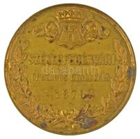 1879. "Székesfehérvári Országos Kiállítás" bronz emlékérem (40,20g/50mm) T:XF kis ütésnyom...