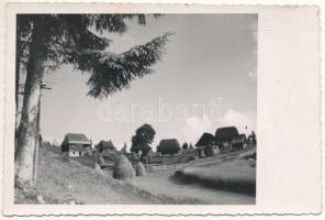 Aranyosfő, Scarisoara; látkép / general view. photo