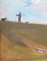 Szurcsik János (1931-): Őszi délután. Olaj, vászon, jelezve jobbra lent (Szurcsik 986), hátoldalán K...