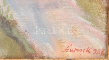 Szurcsik János (1931-): Őszi délután. Olaj, vászon, jelezve jobbra lent (Szurcsik 986), hátoldalán K...