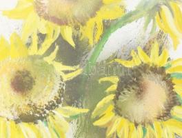 Dobrovits Ferenc (1941-1988): Napraforgók. Olaj, farost, jelezve balra lent. Hátoldalán autográf fel...