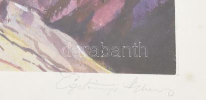 Czétényi Vilmos (1928-2003): Tengerszem. Akvarell, papír, jelzett. Üvegezett, laza fakeretben. 24x36...