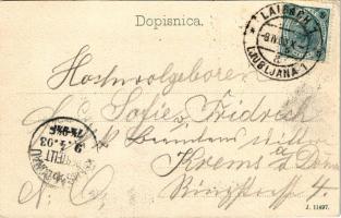 1903 Ljubljana, Laibach; Grad Tivoli / castle (EK)