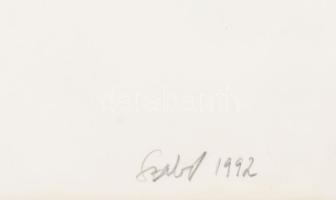 Szabó Zoltán Judóka (1952-2015): X (Káosz). Szitanyomat, papír, jelzett, számozott: XXIII/XXX, 42×59...