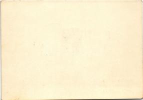 Felső-Erdély és Székelyföld hazatért! + "1940 Zilah visszatért" So. Stpl / Hungarian irred...