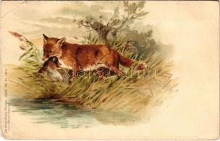 Vadászó róka / Hunting, fox. Lith-Artist-Anstalt München (vorm. Gebrüder Obpacher) Serie 44. No. 18277. litho (EB)