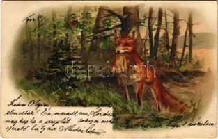 1903 Vadászó róka / Hunting, fox. litho (EK)