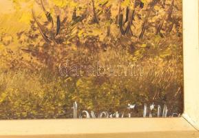 Losonci Lilla (1930-): Balatonpart. Olaj, farost, jelzett. Dekoratív fakeretben, 20×30 cm