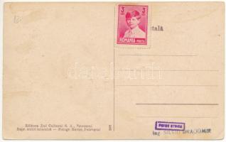 Petrilla, Petrila (Hunyad); Gradina publica N. Teodorescu / park / park (fl)