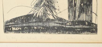 Csohány Kálmán (1925-1980): Virág és kövek. Rézkarc, papír, jelzett, számozott (85/100). Üvegezett f...