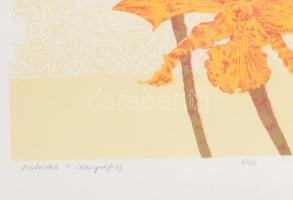 Hernádi Paula (1947-): Orchidea II. Szitanyomat, papír, jelzett, számozott (5/50). 24x20,5 cm. Üvege...