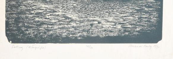 Hernádi Paula (1947- ): Solling. Litográfia, papír, jelzett, számozott (45/80). Fakeretben. Lap szél...