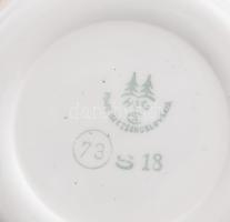 Haas & Czjzek porcelán teás készlet, hat személyes, matricás, jelzett, kis kopással