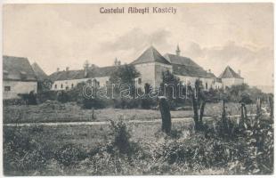 Fehéregyháza, Albesti, Weisskirch, Ferihaz; Haller kastély / Castelul / castle (EK)