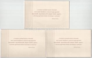 2000. 2000Ft "Millennium" bontatlan díszcsomagolásban (3x) sorszámkövetők T:UNC Adamo F56A