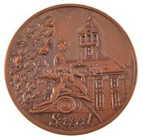 Fritz Mihály (1947-) 1990. "Szeged 1990." egyoldalas bronz emlékérem a Magyar-Finn Baráti Körök IV. Országos Találkozójára (42,5mm) T:UNC