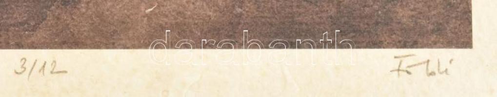 Földi Péter (1947-): Karakterek V. Computer print, merített papír, jelzett, számozott (3/12), 38×25,...