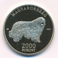 2020. 2000Ft Cu-Ni-Zn "Komondor" kapszulában T:P 
Adamo EM411