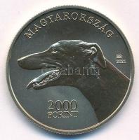 2021. 2000Ft Cu-Ni-Zn "Magyar Agár" kapszulában T:P