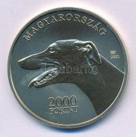 2021. 2000Ft Cu-Ni-Zn "Magyar Agár" kapszulában T:P