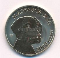 2019. 2000Ft Cu-Ni-Zn "Magyar vizsla" kapszulában T:P Adamo EM387