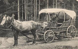 Highlander from Furka (EB)