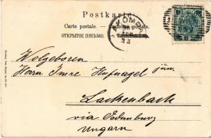 1903 Art Nouveau lady. Theo. Stroefer Ser. 222. No. 1. litho s: Raphael Kirchner (EK)