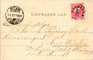 1899 (Vorläufer) Palics, Palic (Szabadka, Subotica); Fürdő. Vig Zsigmond Sándor kiadása / spa, bath....