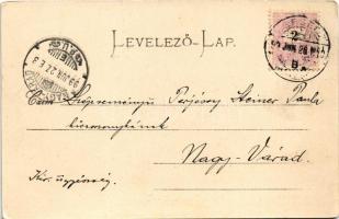 1899 (Vorläufer) Versec, Werschetz, Vrsac; Rathausplatz / Városháza tér, üzletek. Wilh. Wettl kiadás...