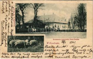 1902 Nagyszalonta, Salonta; Kornstein testvérek sertéstenyésztő farmja Pata-Pusztán, mangalica disznók. Sonnenfeld A. kiadása / pig farm, mangalica (fa)