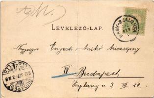 1902 Nagyszalonta, Salonta; Kornstein testvérek sertéstenyésztő farmja Pata-Pusztán, mangalica diszn...