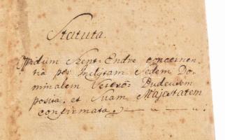 1774 Szentendre város rendelkezései a Pest megyei közgyűlés felhatalmazása alapján, a korábbi városi...