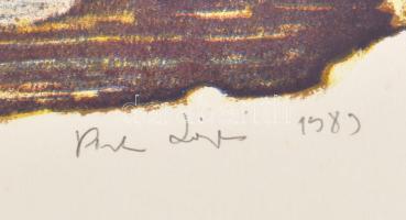 Pirk László (1953-): Hasadék. Litográfia, papír, jelzett, művészpéldány EA XI/XV számozással. Lapszé...