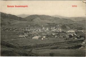 1911 Breznóbánya, Brezno nad Hronom; látkép. Özv. Fried Mórné kiadása / general view