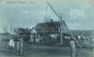 Bialowieza with well (EK)