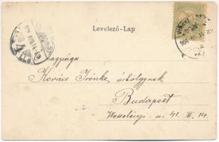 1904 Vihnye, Vihnyefürdő, Kúpele Vyhne; új fürdőház. Joerges özv. és fia kiadása, szecessziós litho ...