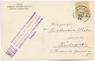 1913 Pankota, Pancota; Szatmári Szabó István méhészete. Reklám a hátoldalon / beekeeping, beehives, ...