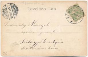 1902 Félixfürdő, Baile Felix; park és nagy szálloda. Csathó Gábor és társa kiadása, szecessziós kere...