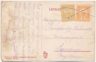 1916 Divény, Diwein, Divín; Kastély és erdőfelügyelőség, várrom / castles, forestry office (fa)