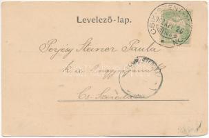 1902 Csíkszentmárton, Sanmartin; Római katolikus templom és papilak, Kir. Járásbíróság, Római katoli...