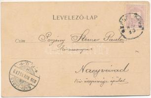 1899 (Vorläufer) Székelyhíd, Sacueni; Nagyvendéglő. Helyfi László kiadása / restaurant (felületi sér...