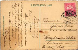 1917 Zilah, Zalau; Református Wesselényi kollégium. Seres Samu kiadása / boarding school (fl)