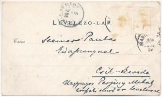 1900 Marilla, Marillavölgy, Marila; Gyógyintézet. Gross Gyula kiadása / spa. Art Nouveau (Rb)