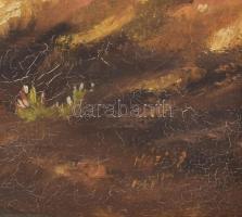 Házi Sándor (-): Táj. Olaj, vászon. Dekoratív fakeretben. 60x70 cm
