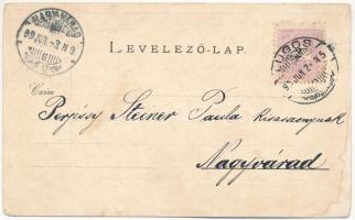 1899 (Vorläufer) Lugos, Lugoj; Főgimnázium. Nemes Kálmán kiadása / Obergymnasium / grammar school (E...