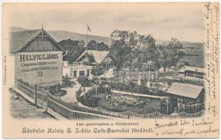 1903 Csíkszereda, Miercurea Ciuc; Alsó park részlete a Télifürdővel, Helvig G. János fürdőtelepe / park, spa, baths (EK)