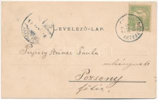 1903 Csíkszereda, Miercurea Ciuc; Alsó park részlete a Télifürdővel, Helvig G. János fürdőtelepe / p...